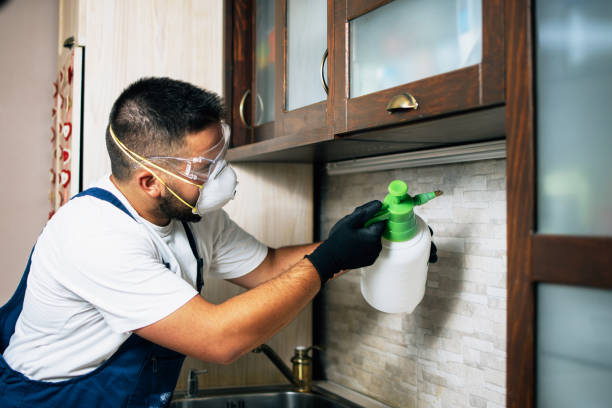 Best Residential Pest Control  in Timberline Fernwood, AZ