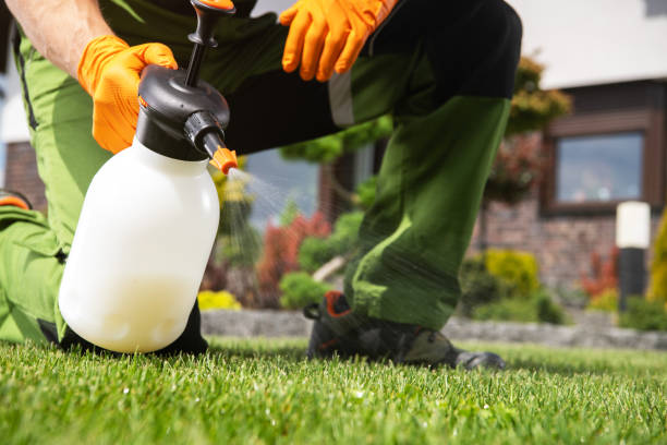 Wildlife Control Services in Timberline Fernwood, AZ