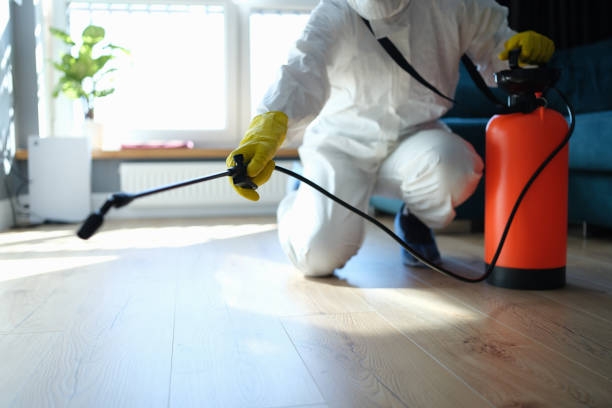 Pest Control Cost in Timberline Fernwood, AZ