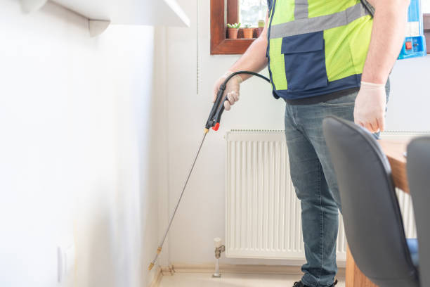 Professional Pest Control in Timberline Fernwood, AZ